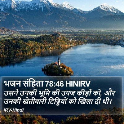 भजन संहिता 78:46 HINIRV Bible Verse Image