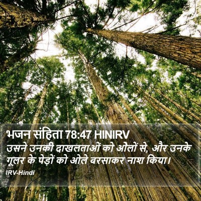 भजन संहिता 78:47 HINIRV Bible Verse Image