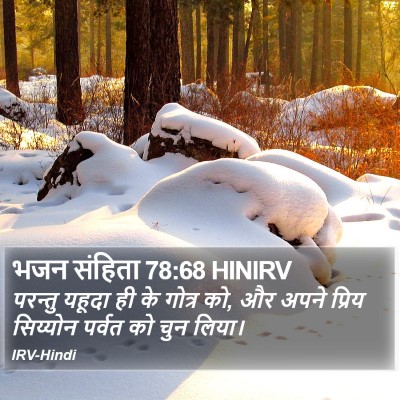 भजन संहिता 78:68 HINIRV Bible Verse Image