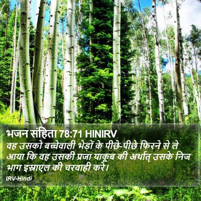 भजन संहिता 78:71 HINIRV Bible Verse Image