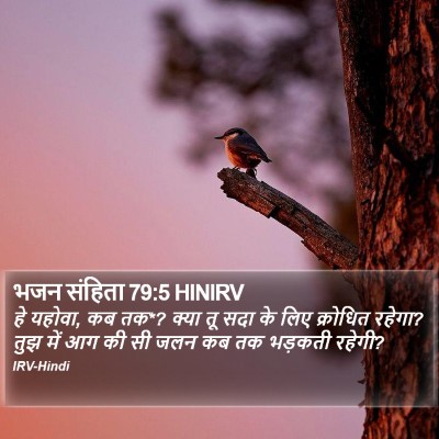 भजन संहिता 79:5 HINIRV Bible Verse Image