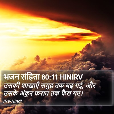 भजन संहिता 80:11 HINIRV Bible Verse Image