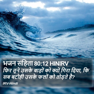 भजन संहिता 80:12 HINIRV Bible Verse Image