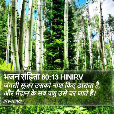 भजन संहिता 80:13 HINIRV Bible Verse Image