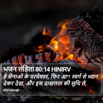 भजन संहिता 80:14 HINIRV Bible Verse Image