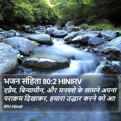 भजन संहिता 80:2 HINIRV Bible Verse Image