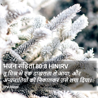 भजन संहिता 80:8 HINIRV Bible Verse Image