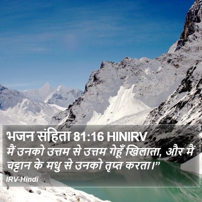 भजन संहिता 81:16 HINIRV Bible Verse Image