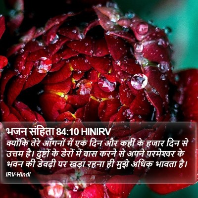 भजन संहिता 84:10 HINIRV Bible Verse Image