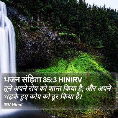 भजन संहिता 85:3 HINIRV Bible Verse Image