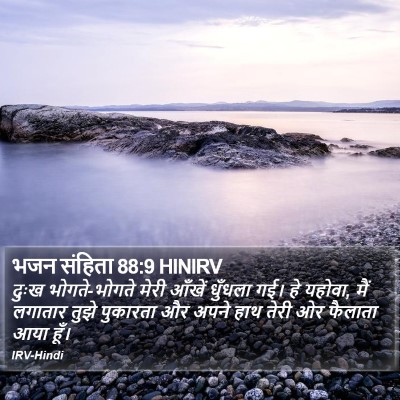 भजन संहिता 88:9 HINIRV Bible Verse Image