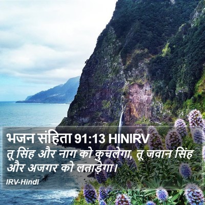भजन संहिता 91:13 HINIRV Bible Verse Image