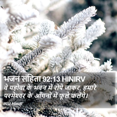 भजन संहिता 92:13 HINIRV Bible Verse Image