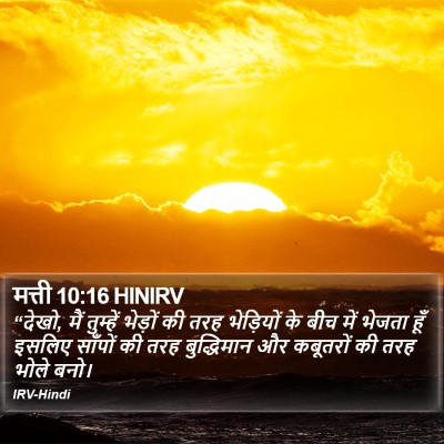 मत्ती 10:16 HINIRV Bible Verse Image