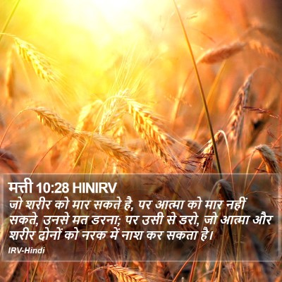 मत्ती 10:28 HINIRV Bible Verse Image