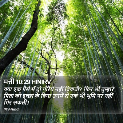 मत्ती 10:29 HINIRV Bible Verse Image