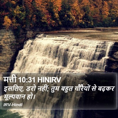 मत्ती 10:31 HINIRV Bible Verse Image