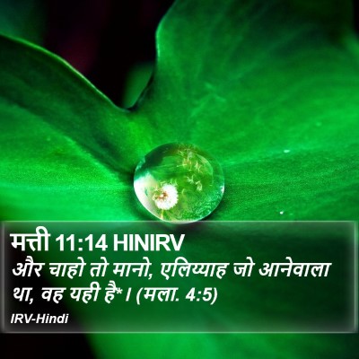 मत्ती 11:14 HINIRV Bible Verse Image