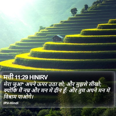 मत्ती 11:29 HINIRV Bible Verse Image