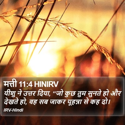 मत्ती 11:4 HINIRV Bible Verse Image