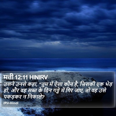 मत्ती 12:11 HINIRV Bible Verse Image