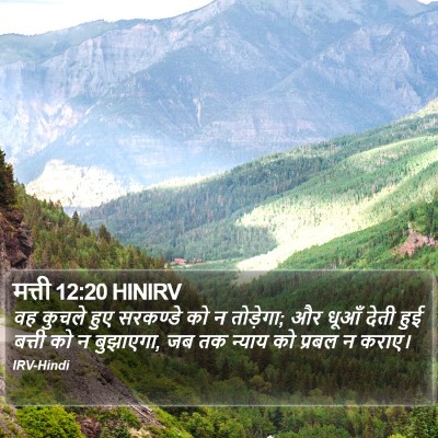 मत्ती 12:20 HINIRV Bible Verse Image