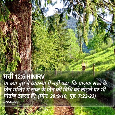 मत्ती 12:5 HINIRV Bible Verse Image