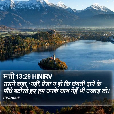 मत्ती 13:29 HINIRV Bible Verse Image