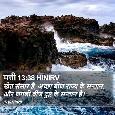 मत्ती 13:38 HINIRV Bible Verse Image