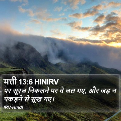 मत्ती 13:6 HINIRV Bible Verse Image