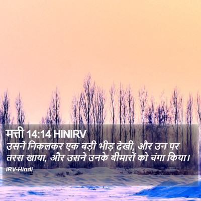 मत्ती 14:14 HINIRV Bible Verse Image