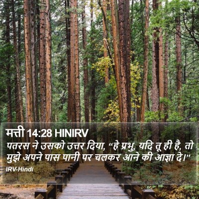 मत्ती 14:28 HINIRV Bible Verse Image