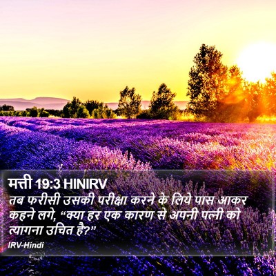 मत्ती 19:3 HINIRV Bible Verse Image