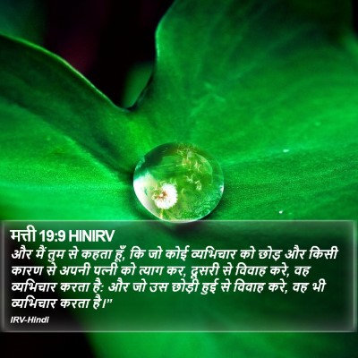 मत्ती 19:9 HINIRV Bible Verse Image