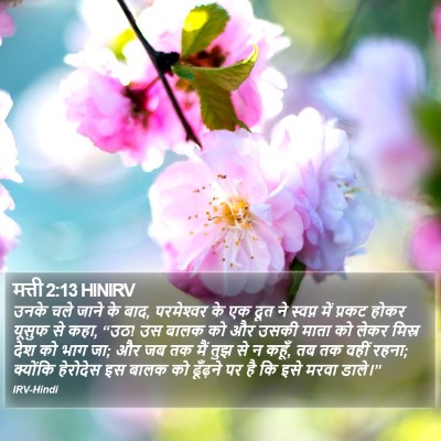 मत्ती 2:13 HINIRV Bible Verse Image