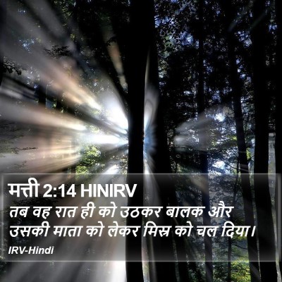 मत्ती 2:14 HINIRV Bible Verse Image