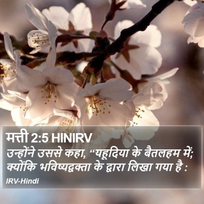 मत्ती 2:5 HINIRV Bible Verse Image