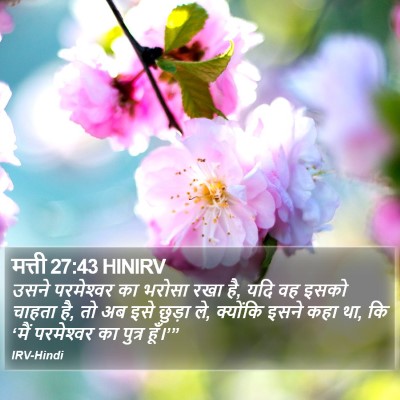 मत्ती 27:43 HINIRV Bible Verse Image