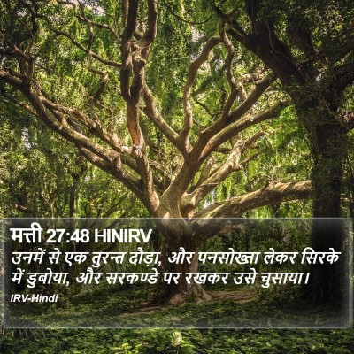 मत्ती 27:48 HINIRV Bible Verse Image