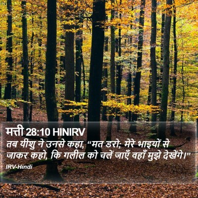 मत्ती 28:10 HINIRV Bible Verse Image