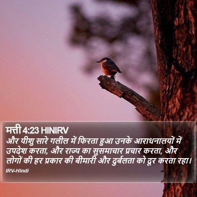 मत्ती 4:23 HINIRV Bible Verse Image