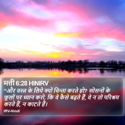 मत्ती 6:28 HINIRV Bible Verse Image
