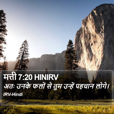 मत्ती 7:20 HINIRV Bible Verse Image