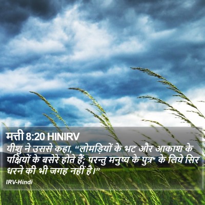 मत्ती 8:20 HINIRV Bible Verse Image