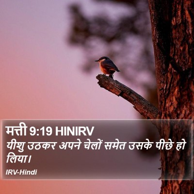 मत्ती 9:19 HINIRV Bible Verse Image