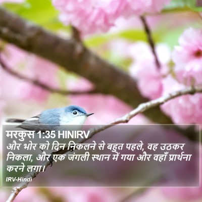 मरकुस 1:35 HINIRV Bible Verse Image