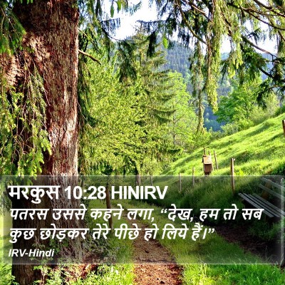 मरकुस 10:28 HINIRV Bible Verse Image