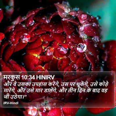 मरकुस 10:34 HINIRV Bible Verse Image