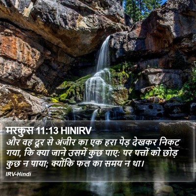 मरकुस 11:13 HINIRV Bible Verse Image