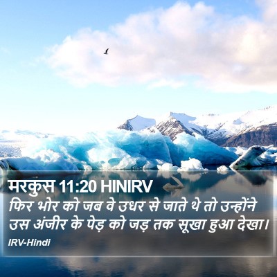 मरकुस 11:20 HINIRV Bible Verse Image